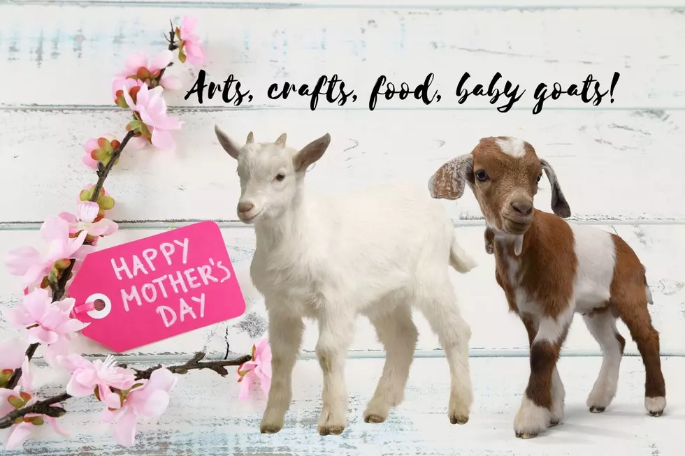 A Favorite Missoula Farm Has Mother’s Day Fun (and Baby Goats)