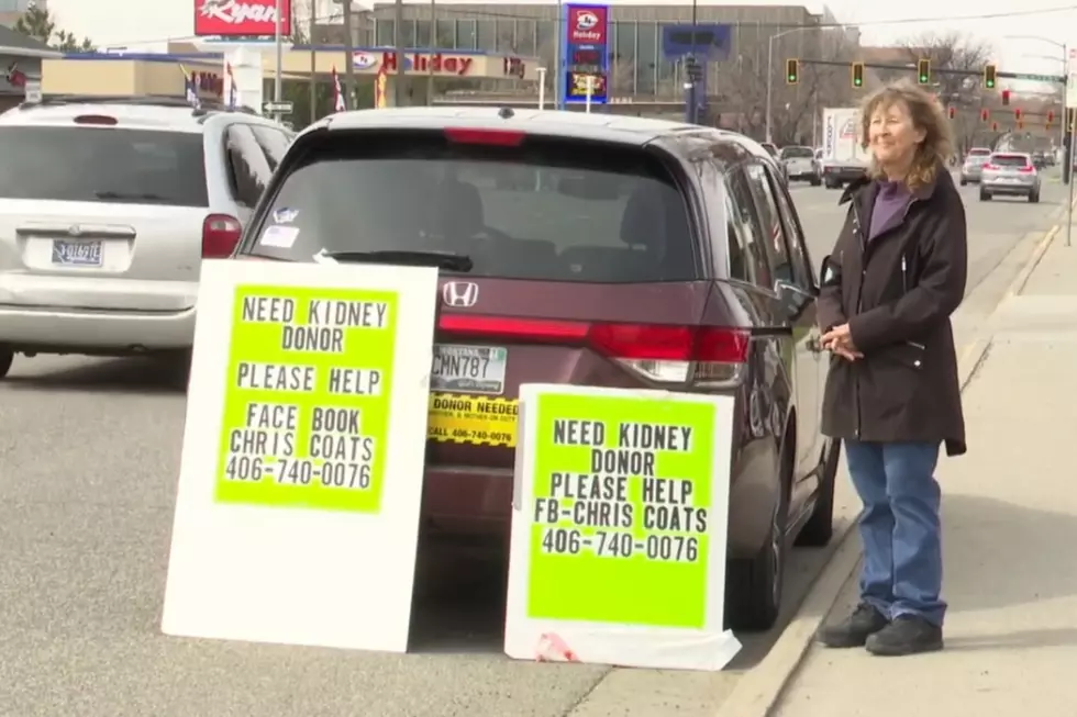 Billings Woman Takes Search for New Kidney to the Streets