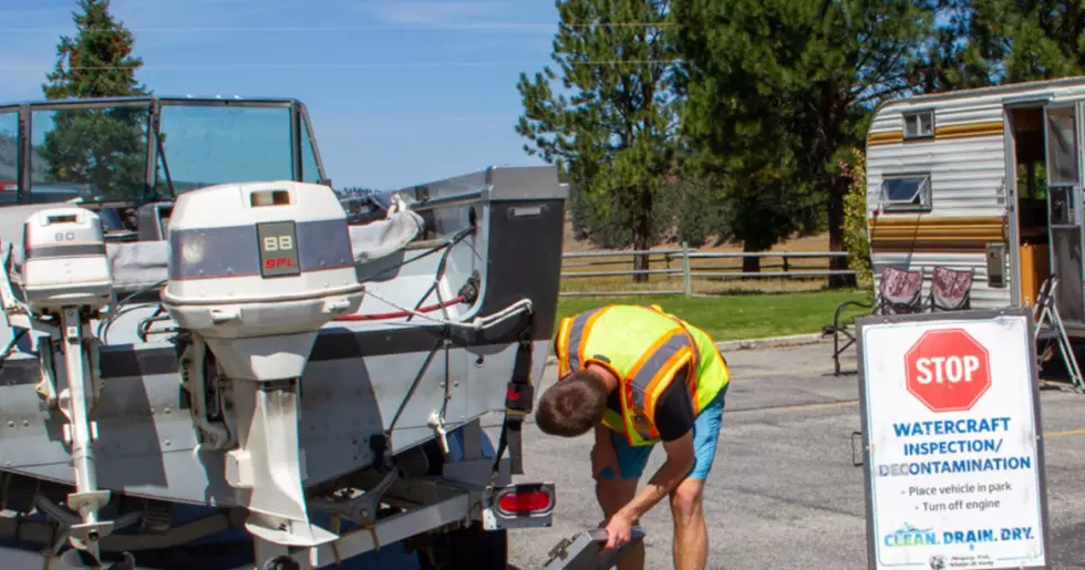 What Happens to Your Boat if Found Fouled With Mussels in Montana