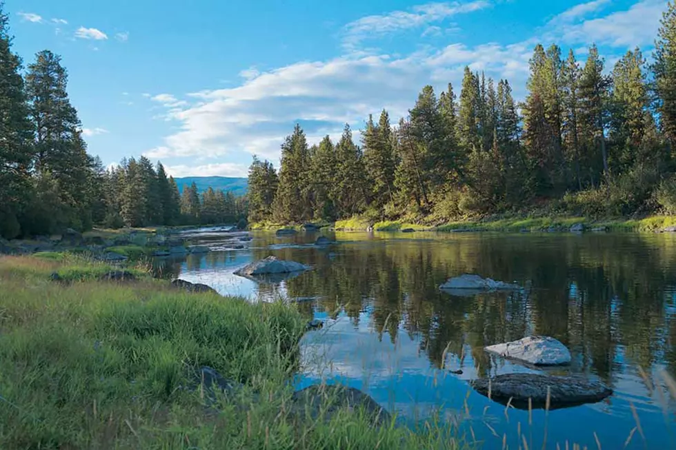 The Blackfoot River Could Sure Use You Saturday, Western Montana