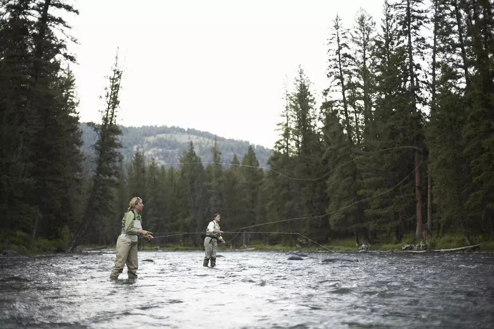 More Montana Hoot Owl Fishing Restrictions Just Announced