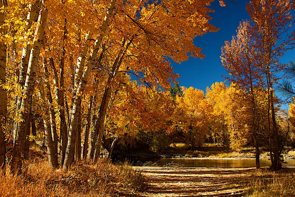 Photographer Tells Where to Find the Best Fall Colors in Western Montana