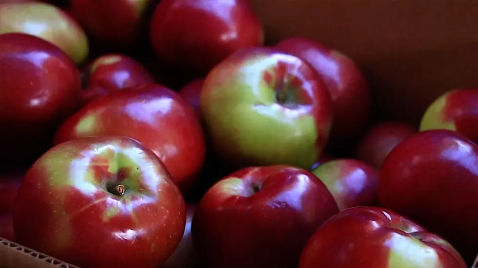 Help Montana Win Crunch Time. Grab an Apple!