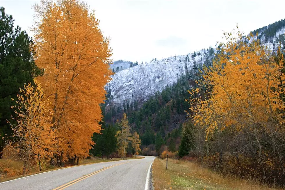 The Skalkaho Road is Perfect Fall Drive, if You&#8217;re Not Scared by Cliffs