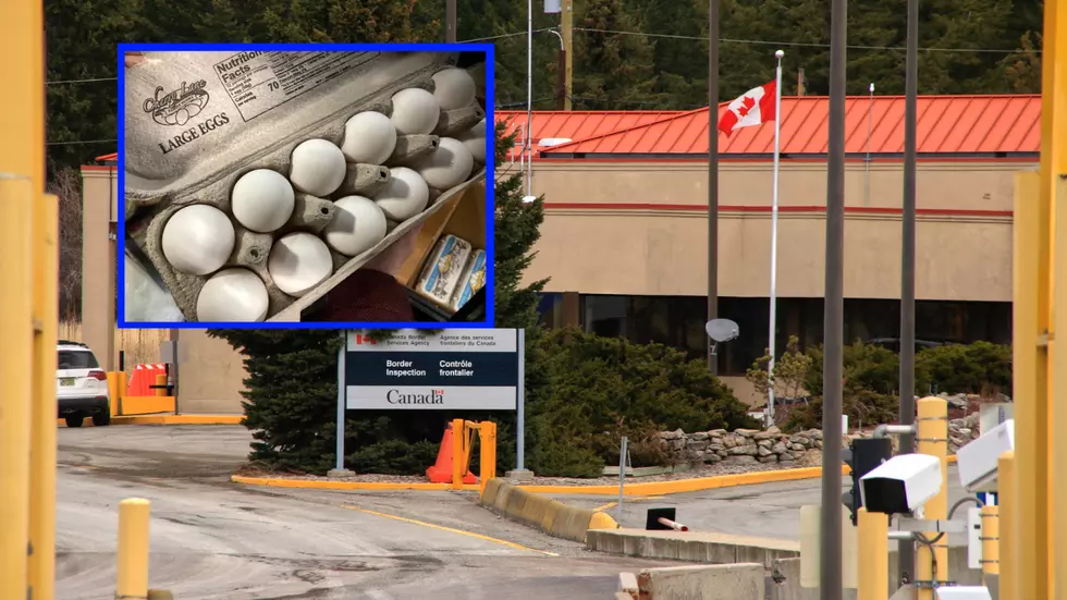 Even at these prices, Egg Smuggling won’t go over easy in Montana