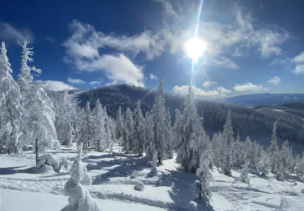 Montana’s Amazing January Snowpack Numbers Signal Much Optimism