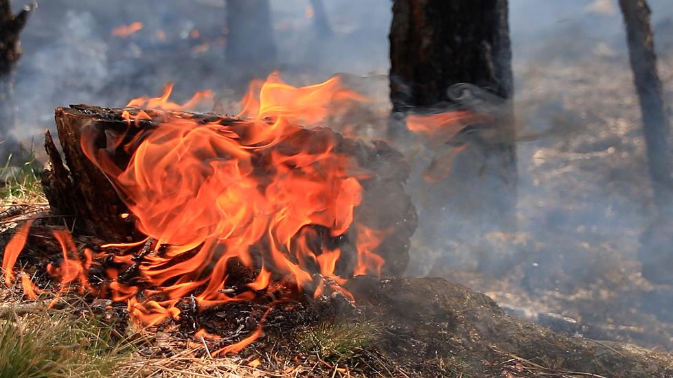 Montana Property Cleanup: Here's Why You Need a Burn Permit