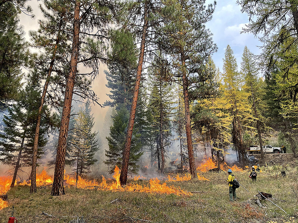 See Smoke in Missoula? It’s Likely From a Prescribed Burn