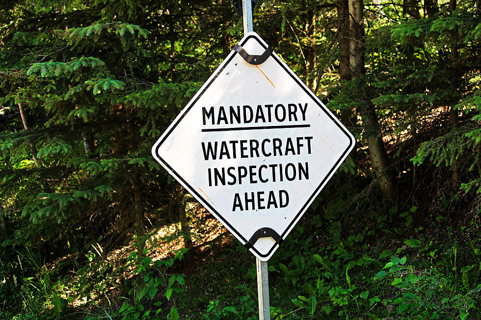 Watercraft Coming Into Montana Already Flexing Their Mussels