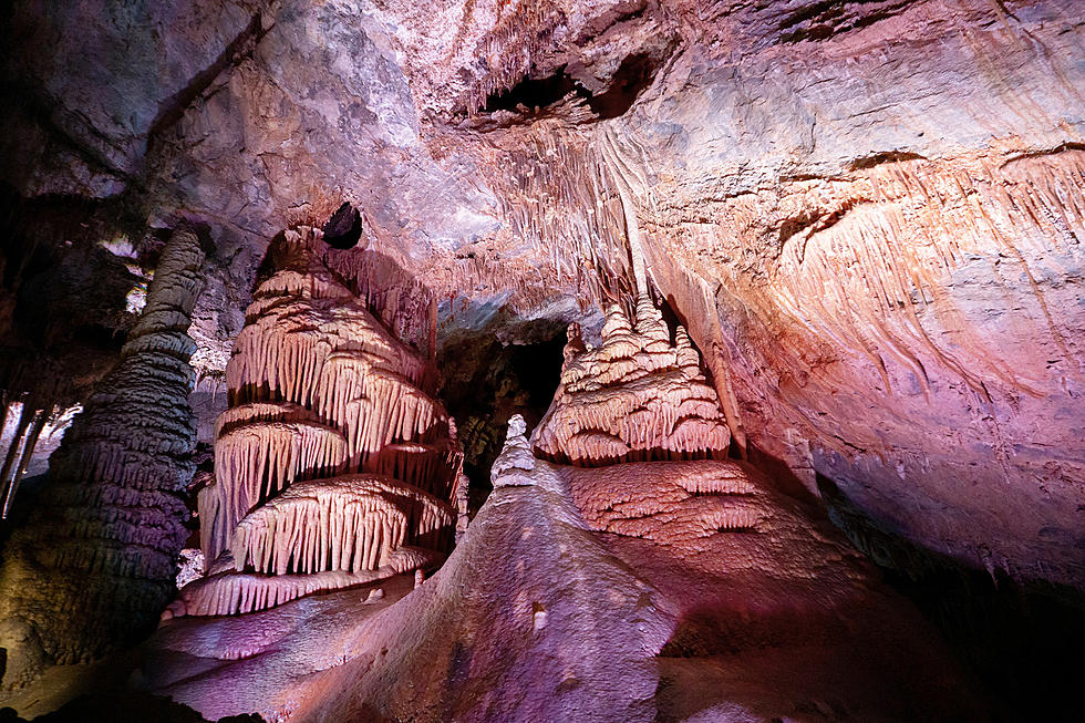 Stars and Critters! June Programs at Montana's Oldest State Park 