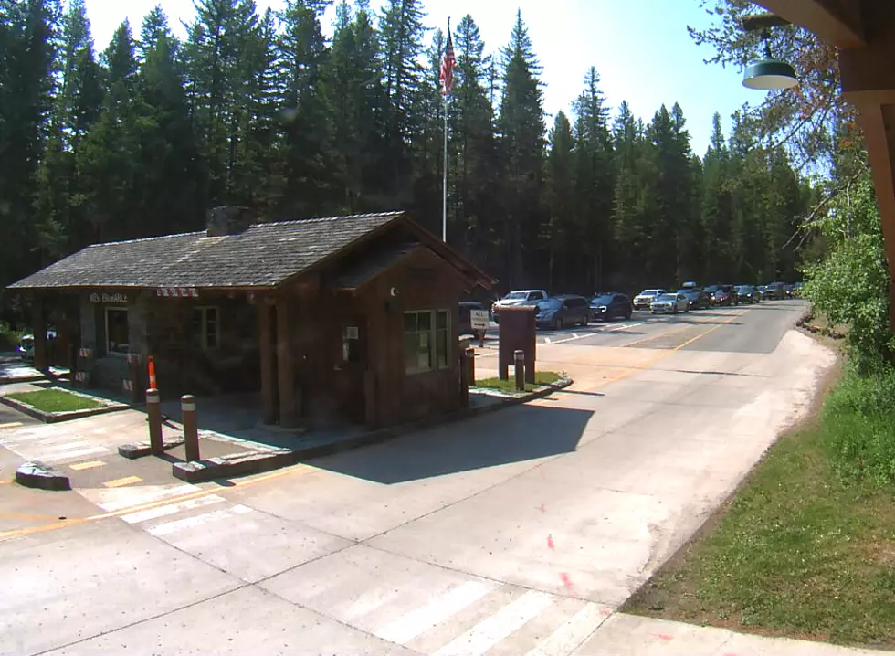 Cars line up at West Glacier entrance Tuesday; Glacier NP photo