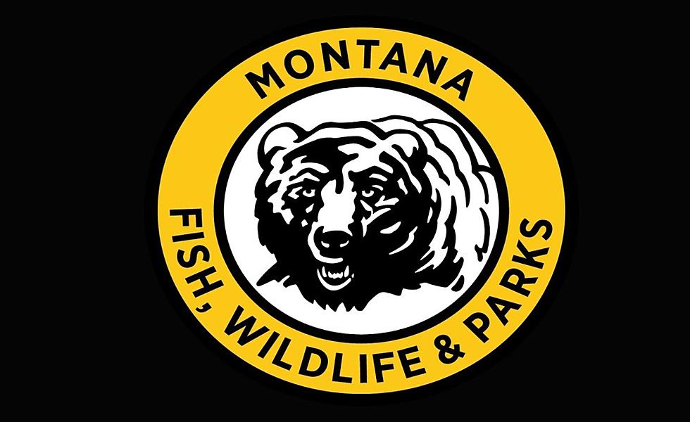 Governor Appoints New Montana FWP Director, Promoted From Within