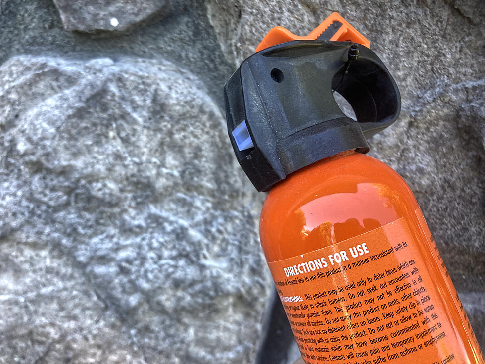 Why Bear Spray is No Longer Optional in Montana