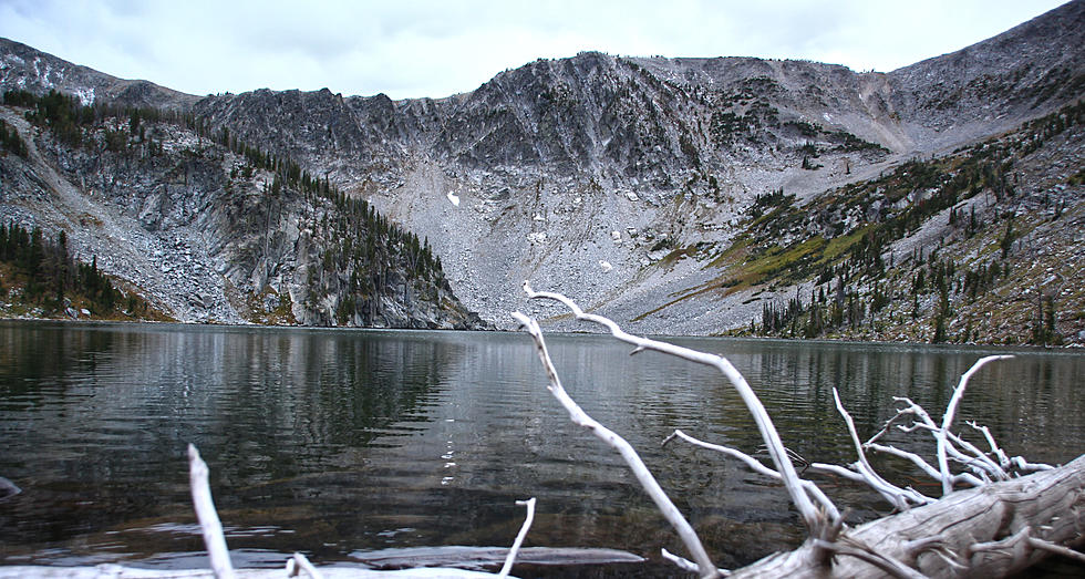 How Did Hank Williams Jr Survive This Terrible Montana Fall?