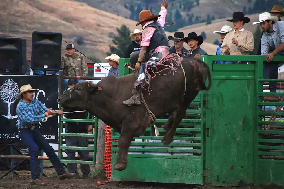 All Points Montana; Dennis Bragg photo