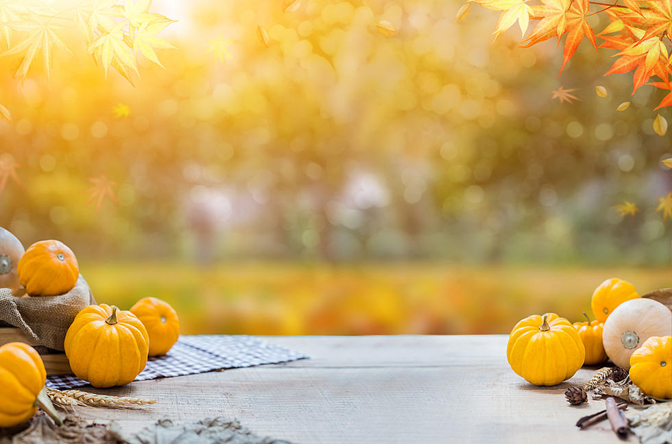 Fabulous Family Fun at Fall Harvest Festival in Missoula Sunday