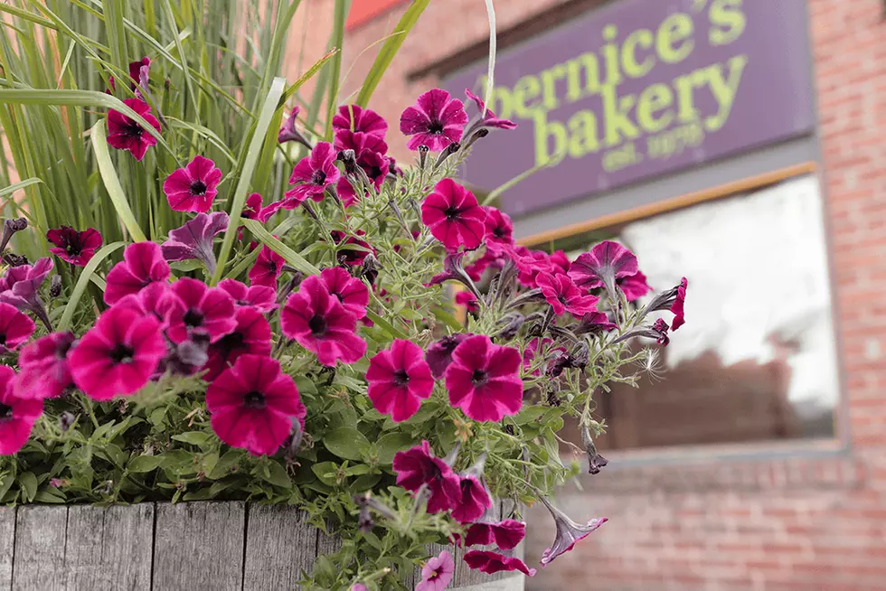Missoula bakeries