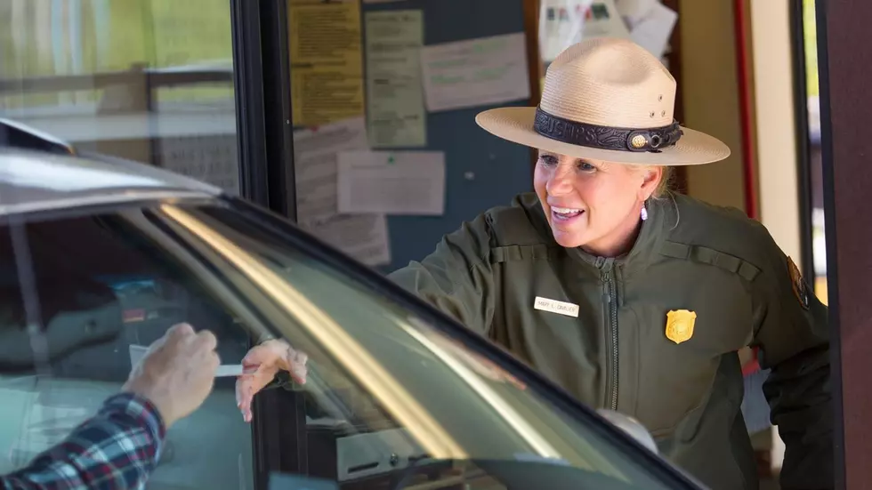The Top 10 Ranger Tips When Visiting Yellowstone National Park