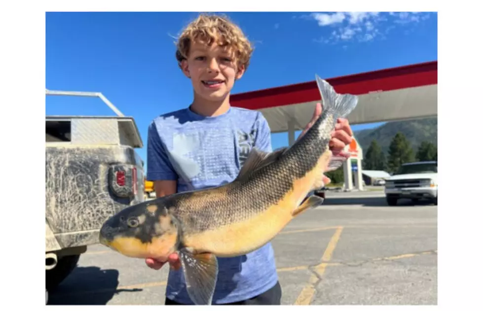 The Best Kind of Angler to Own a New Montana State Record Fish
