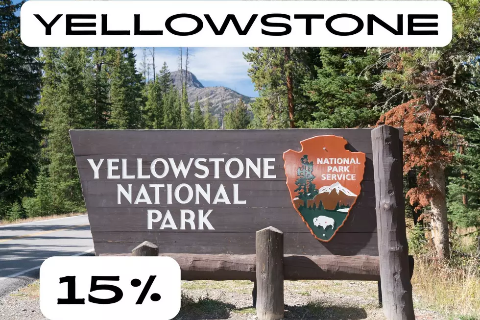 Yellowstone National Park (15%)