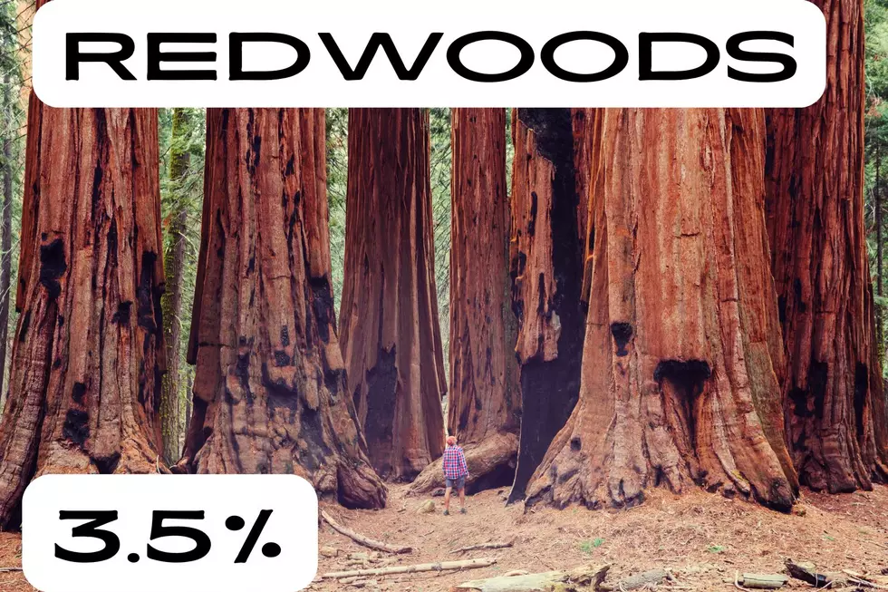 Redwood National Park