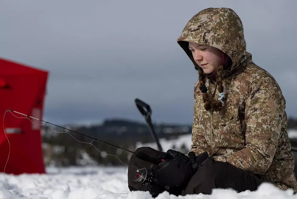 UNIVERSITY OF MONTANA