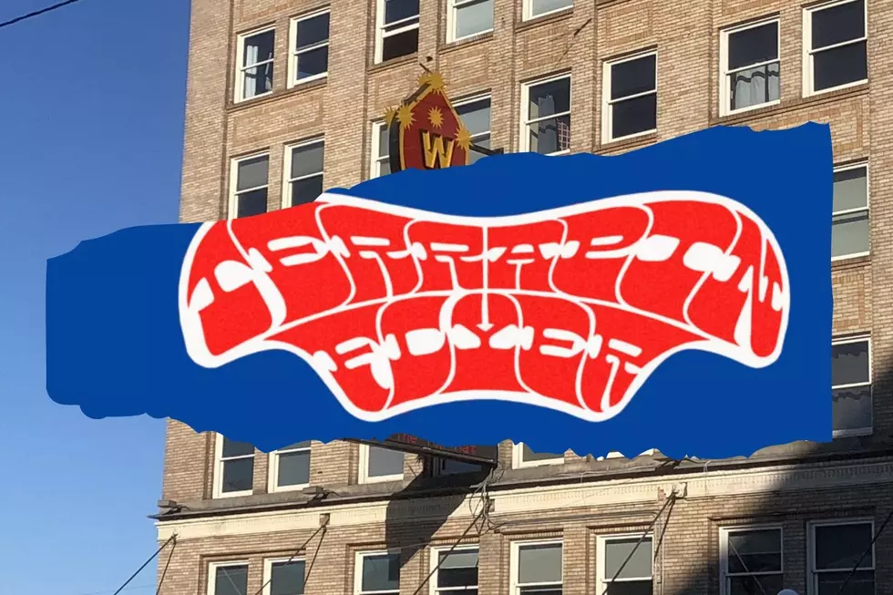 Terrapin Flyer