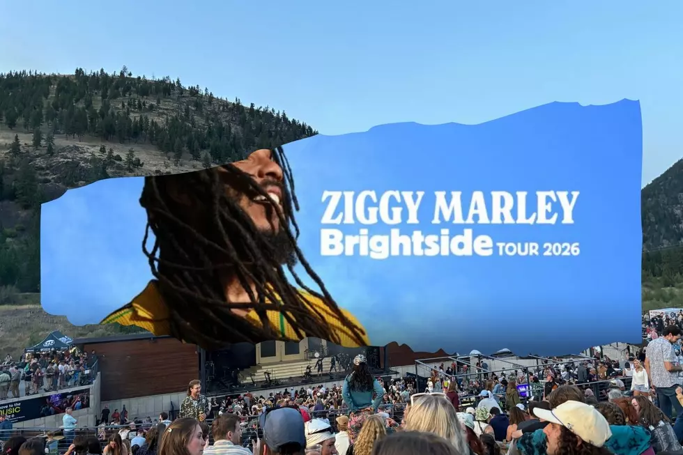 Ziggy Marley