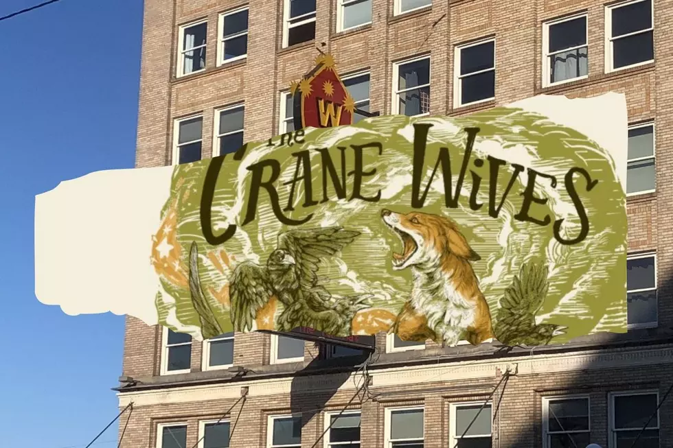 The Crane Wives