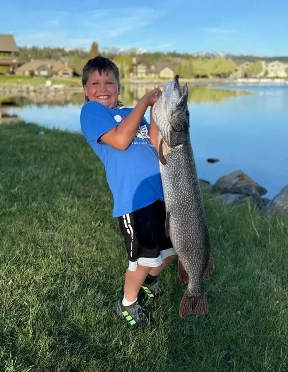 Flathead River Fishing Reports
