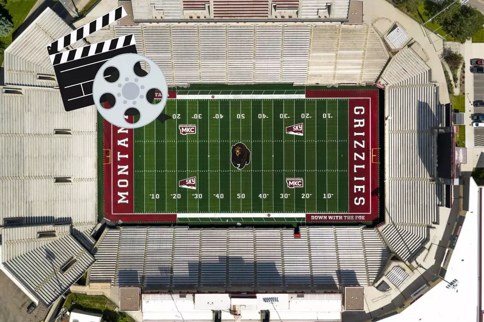 Four Movies Are Up for Vote at Washington-Grizzly Stadium Movie Night