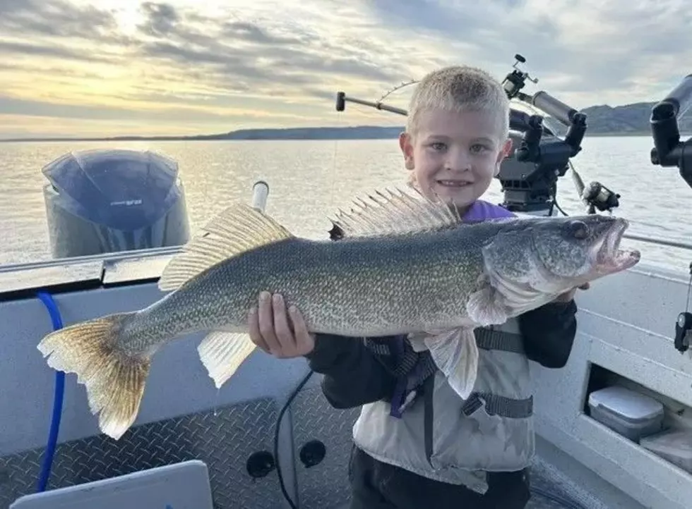 FORT PECK FISHING REPORTS