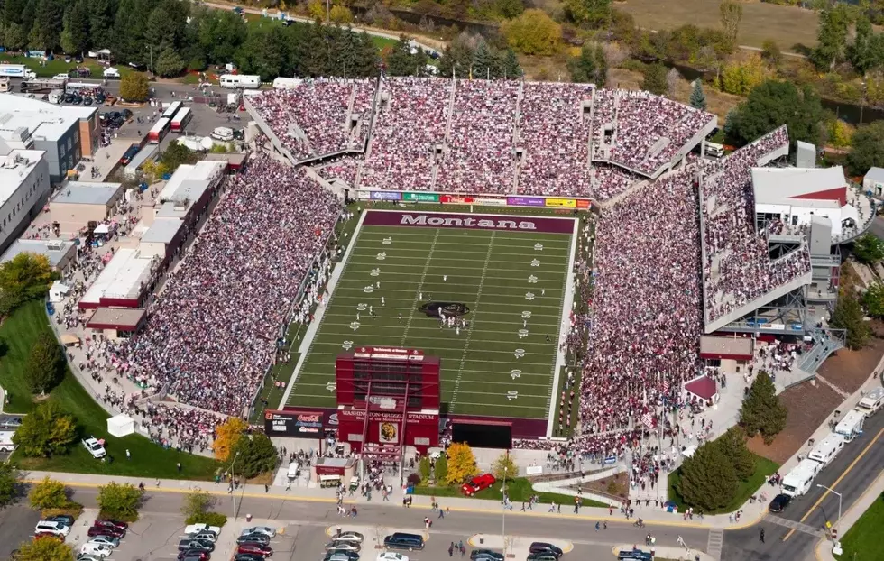 MONTANA GRIZZLIES