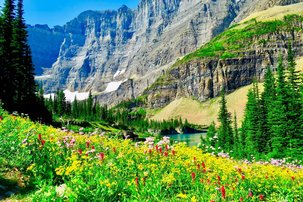 What Are The Big 4 Glacier National Park Hikes?