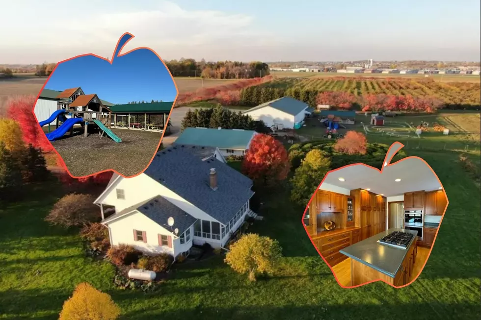 Minnesota Apple Orchard Being Sold After 25 Years in Business (Photos)
