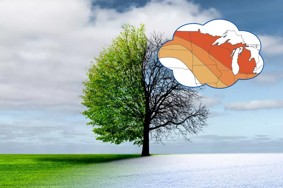 Weather Whiplash - Minnesota's April Forecast Released