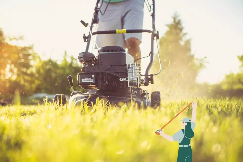 how tall lawn law minnesota