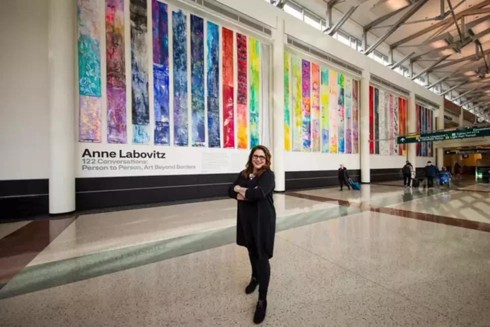Anne Labovitz art MSP airport