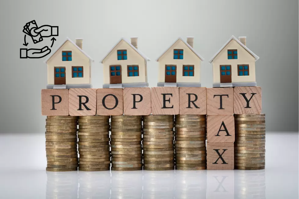 mn property tax refund amount