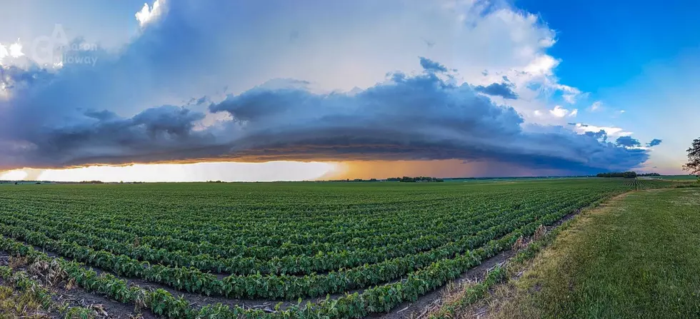 Shelf Cloud Over a Soy Bean Field in Dodge County, MN (photo by Aaron Galloway)