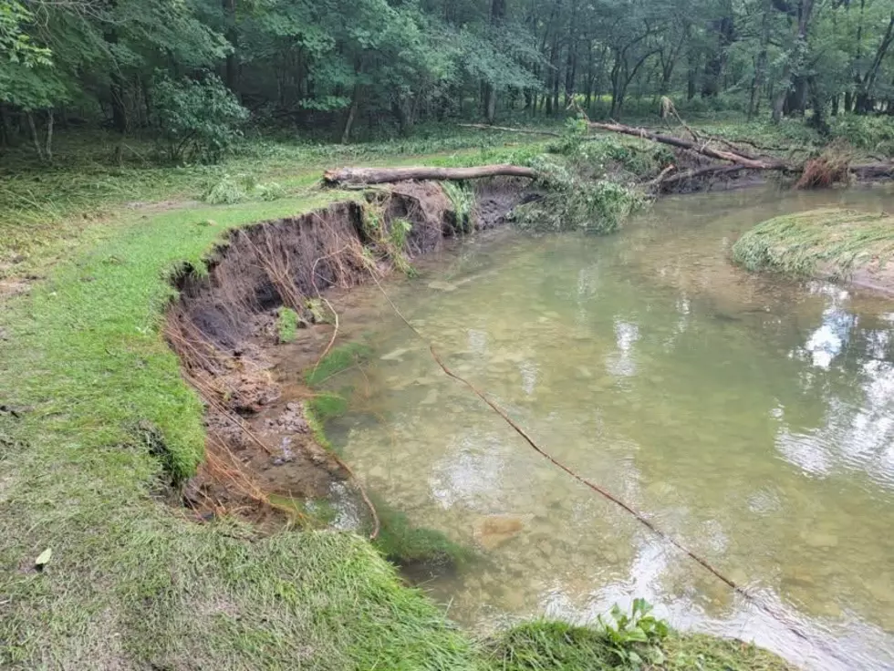 Beaver Creek Valley State Park, July 7, 2026: Beaver Creek stream bank erosion after a flooding event. (MN State Parks and Trails)