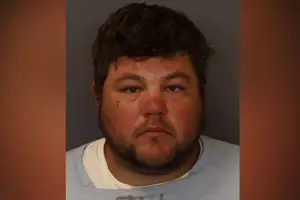 MN Man Faces Manslaughter Charge in Fatal Tree-Trimming Incident