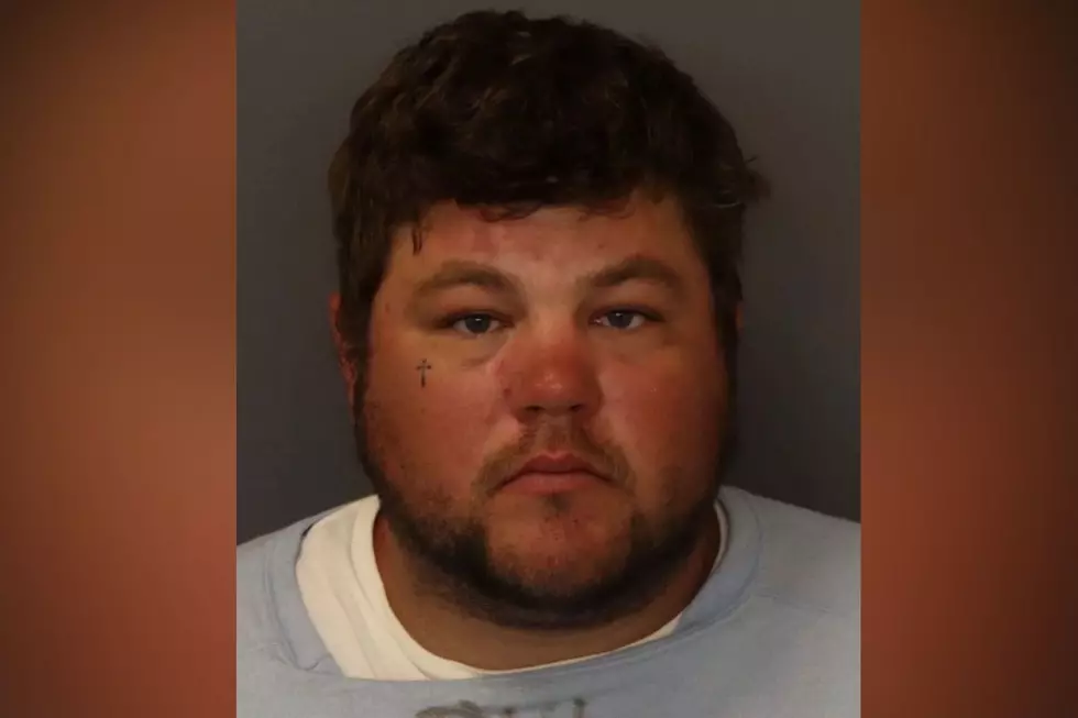 MN Man Faces Manslaughter Charge in Fatal Tree-Trimming Incident