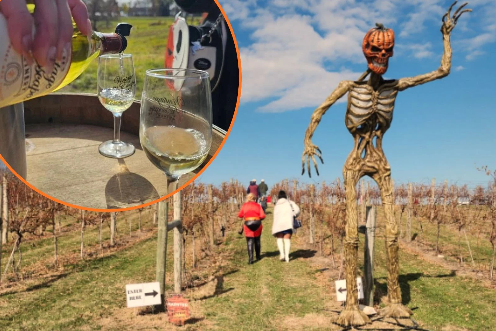 Minnesota Vineyard Hosting Adults-Only Wine Trick-Or-Treat Trail This Halloween