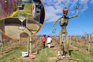 Adults-Only Wine Trick-or-Treat Trail Coming to Minnesota Vineyard This Halloween
