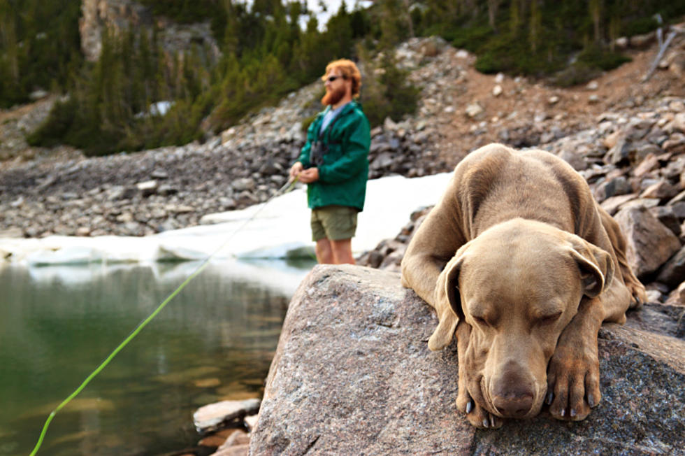 You May Be a Home Grown Montanan if…