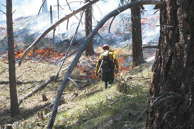 Bitterroot Forest Prescribed Burns Planned in South Valley