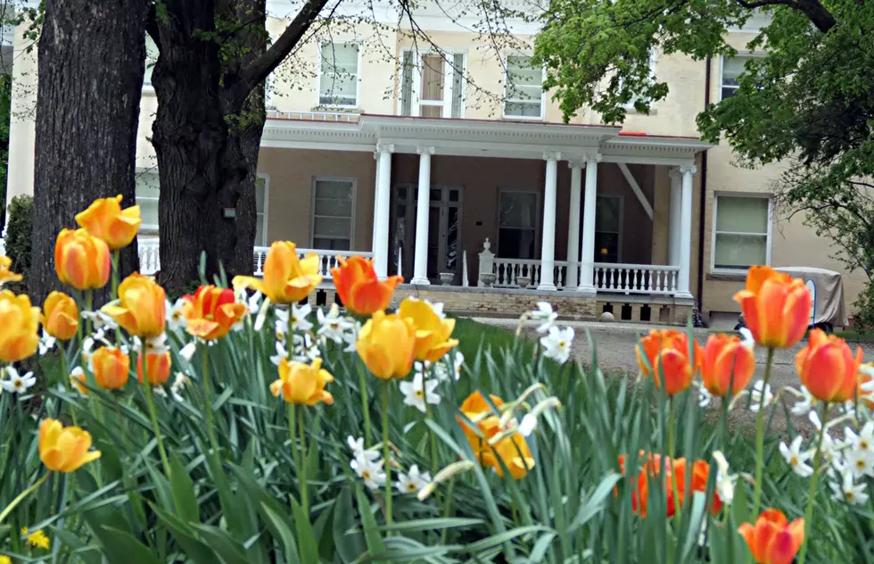 Family ‘Spring Adventures’ are Saturday at the Daly Mansion
