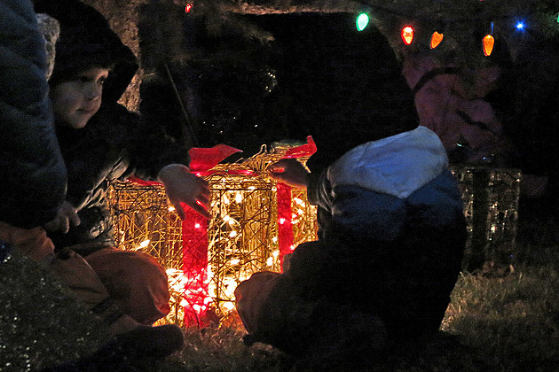 Hundreds Watch Hamilton Christmas Tree Light Up