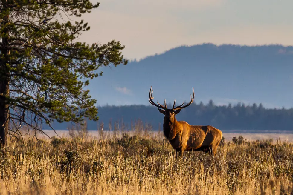 Missoula FWP Searching for Volunteers for Citizens Advisory Committee